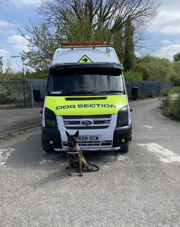 Grey Knight Ltd dog section security van and dog